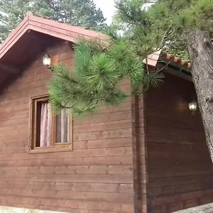 Iliria Tiny House Llogora Appartement